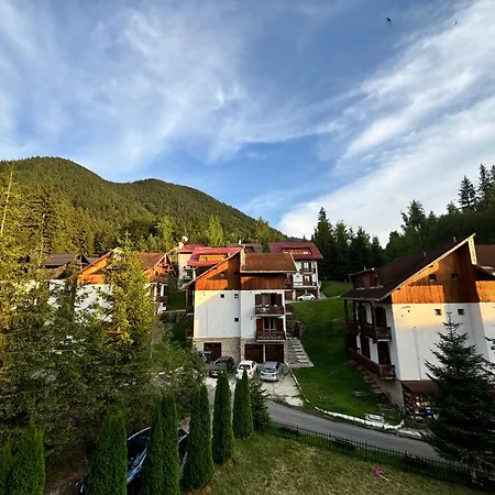 Sunray-vilagalbena
